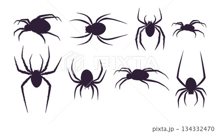 spider silhouettes set 134332470