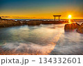 朝日に照らされる海に建つ鳥居 134332601