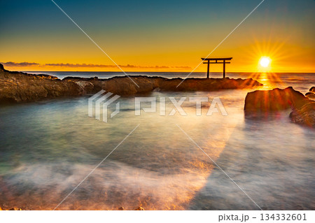 朝日に照らされる海に建つ鳥居 朝日に照らされる海に建つ鳥居 134332601