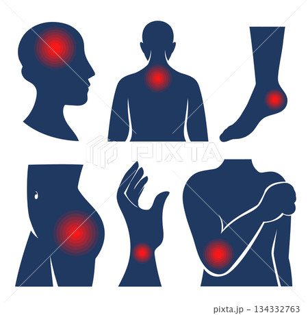 Body pain areas set vector isolated 134332763