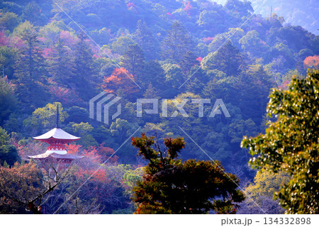 安芸の宮島・厳島神社・多宝塔 134332898