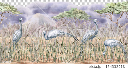 A seamless border featuring an African steppe landscape, grey cranes, and mountains. Isolated watercolor illustration for interior design, environmental program websites, posters, and fabric printing. A seamless border featuring an African steppe landscape, grey cranes, and mountains. Isolated watercolor illustration for interior design, environmental program websites, posters, and fabric printing. 134332918