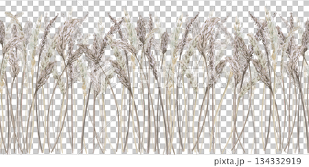 A seamless border of tall steppe grasses. Isolated watercolor illustration for interior design, environmental program websites, posters, and fabric printing. A seamless border of tall steppe grasses. Isolated watercolor illustration for interior design, environmental program websites, posters, and fabric printing. 134332919