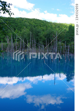 北海道美瑛町　青い池 134332959