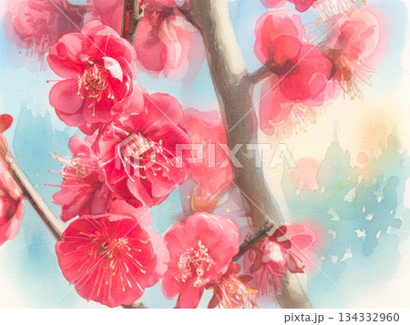 春の訪れを告げる紅梅 134332960