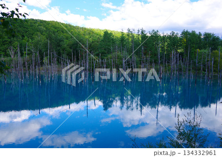 北海道美瑛町　青い池 134332961