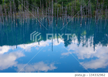 北海道美瑛町　青い池 134332962