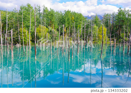 北海道美瑛町　青い池 134333202