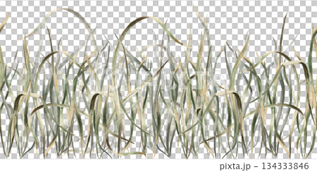 Seamless green grass border. Isolated watercolor illustration for interior design, eco-friendly websites, posters, and fabric printing. Seamless green grass border. Isolated watercolor illustration for interior design, eco-friendly websites, posters, and fabric printing. 134333846