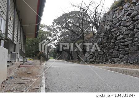 2024年・福岡・福岡市・風景・中央区城内・城・福岡城跡・其の二 2024年・福岡・福岡市・風景・中央区城内・城・福岡城跡・其の二 134333847