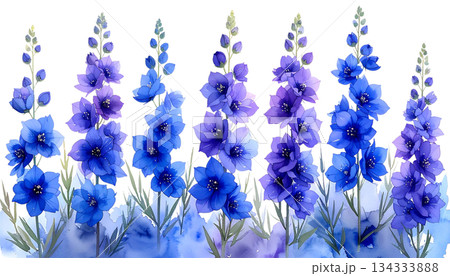 Blue and yellow flowers with lavender on white background 134333888