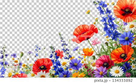 Blue and yellow flowers with lavender on white background Blue and yellow flowers with lavender on white background 134333892
