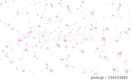 Rose petals isolated on white background 134333893