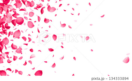 Rose petals isolated on white background Rose petals isolated on white background 134333894