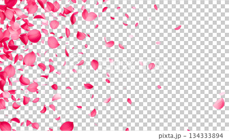 Rose petals isolated on white background Rose petals isolated on white background 134333894