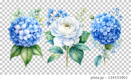 Bouquet of blue irises isolated on white background. 134333901