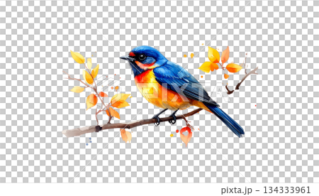 Colorful birds on watercolor branches isolated on white background Colorful birds on watercolor branches isolated on white background 134333961