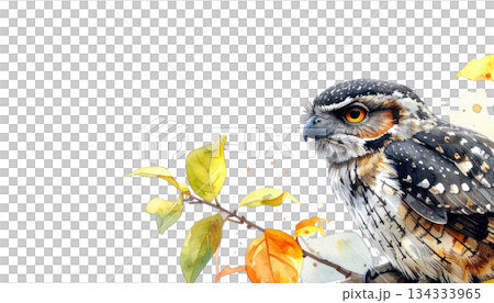 Colorful birds on watercolor branches isolated on white background Colorful birds on watercolor branches isolated on white background 134333965