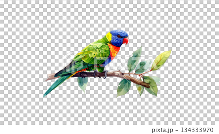 Colorful parrot on green watercolor branch isolated on white background Colorful parrot on green watercolor branch isolated on white background 134333970