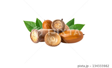 Autumn set of acorns, leaves, isolated on white background. Autumn set of acorns, leaves, isolated on white background. 134333982
