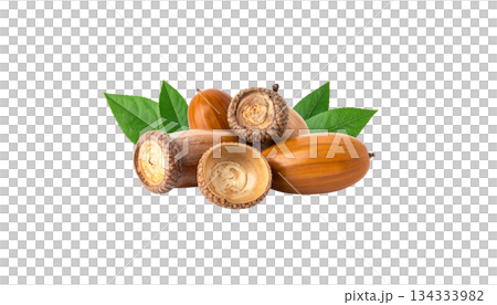 Autumn set of acorns, leaves, isolated on white background. Autumn set of acorns, leaves, isolated on white background. 134333982