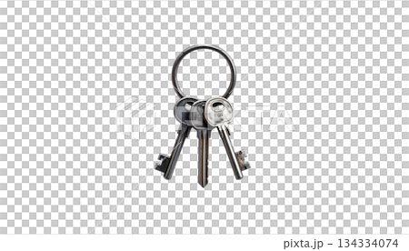 Old key chain on a ring, isolated on a white background. Old key chain on a ring, isolated on a white background. 134334074