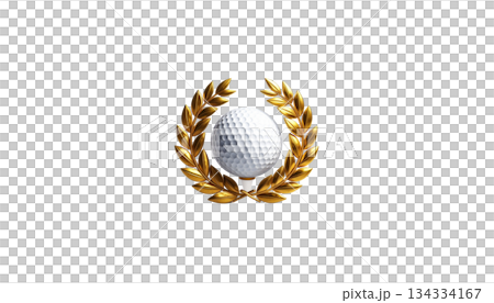 Golf ball and tee, sports objects isolated on white background Golf ball and tee, sports objects isolated on white background 134334167