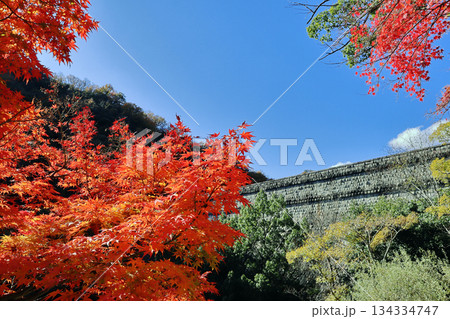 紅葉と布引五本松堰堤 134334747