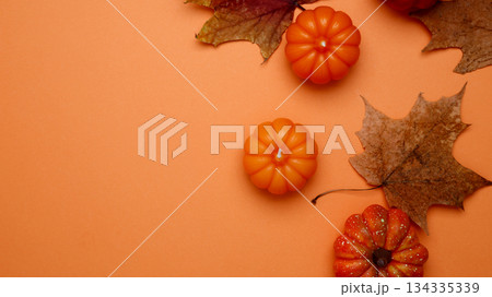 Autumn festive mood. Halloween decoration pumpkins maple leaves 134335339