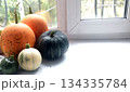 A collection of small, colorful gourds or squashes, including orange, dark green, and light striped varieties, resting on a bright white windowsill against a blurred green outdoor background 134335784