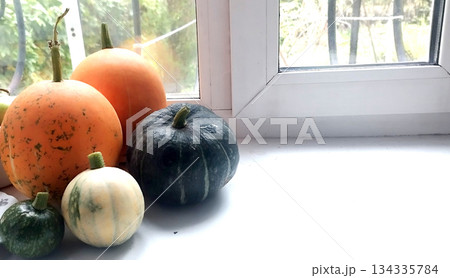 A collection of small, colorful gourds or squashes, including orange, dark green, and light striped varieties, resting on a bright white windowsill against a blurred green outdoor background A collection of small, colorful gourds or squashes, including orange, dark green, and light striped varieties, resting on a bright white windowsill against a blurred green outdoor background 134335784