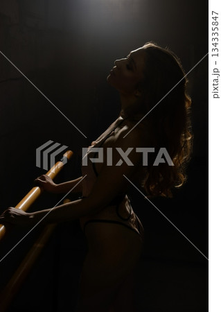 Sensual silhouette of a woman posing elegantly with natural light 134335847