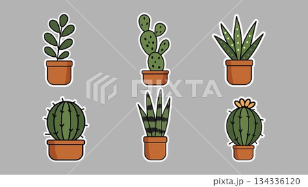 Pack of 6 succulents stickers featuring cartoon cacti, succulents in brown pots, arranged on gray background. Sicculents come in different shapes and designs. For home decor, plant themes, stickers. Pack of 6 succulents stickers featuring cartoon cacti, succulents in brown pots, arranged on gray background. Sicculents come in different shapes and designs. For home decor, plant themes, stickers. 134336120