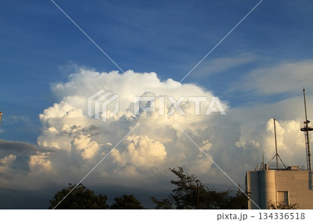 夏の空に浮かぶ雲 夏の空に浮かぶ雲 134336518
