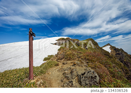 西黒尾根の雪渓と谷川岳山頂 134336526