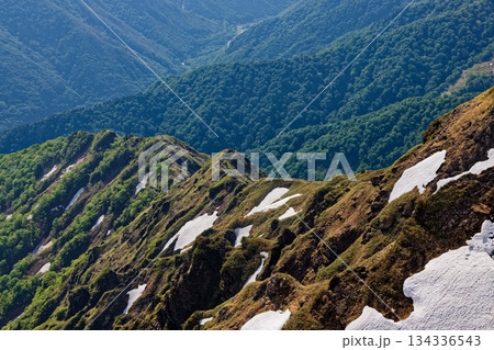 谷川岳から見る残雪の西黒尾根 134336543