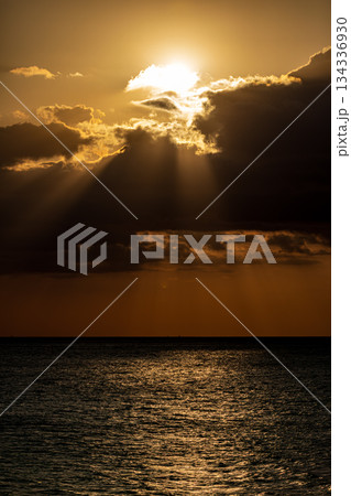 静岡県御前崎市御前崎　御前崎ロングビーチの風景 134336930