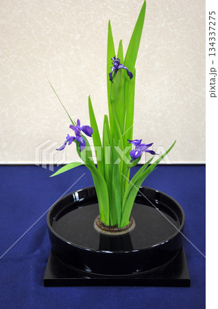 初夏の生花 134337275
