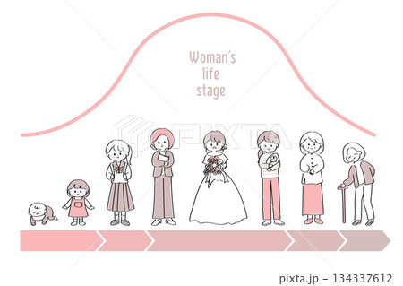 女性のライフステージ・ライフイベントとホルモン量の変化を表したイラスト 134337612