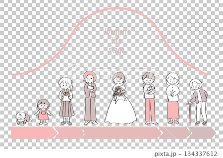 女性のライフステージ・ライフイベントとホルモン量の変化を表したイラスト 134337612