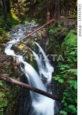 Olympic National Park falls and Falls Olympic National Park falls and Falls 134337615