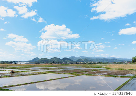 春の水田と七ツ森 134337640
