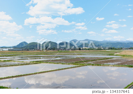春の水田と七ツ森 134337641