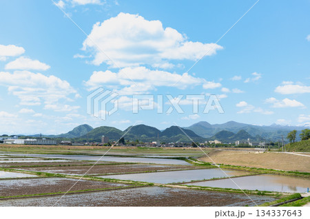 春の水田と七ツ森 春の水田と七ツ森 134337643
