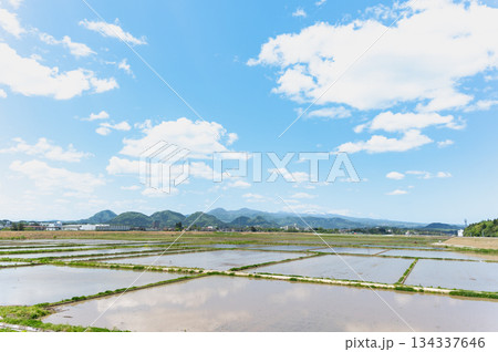 春の水田と七ツ森 春の水田と七ツ森 134337646