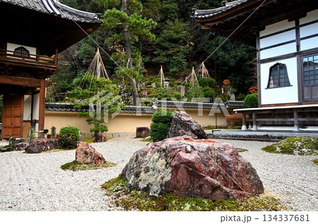 雪つりも見える極楽寺 134337681
