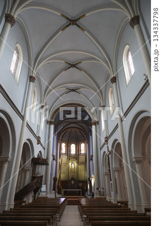 Inside the serene Basilique Notre-Dame-de-Buglose in Saint-Vincent-de-Paul Inside the serene Basilique Notre-Dame-de-Buglose in Saint-Vincent-de-Paul 134337798
