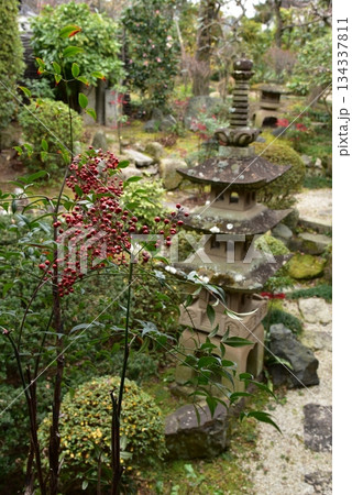 京都　法住寺の庭園 134337811