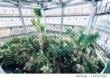 茨城県植物園 熱帯植物館 茨城県植物園 熱帯植物館 134337822