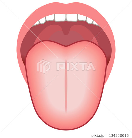 舌苔が白い　舌でわかる健康状態　舌診　舌の健康 134338016